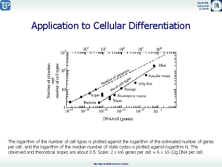 Humboldt. Universität Zu Berlin Application to Cellular Differentiation The logarithm of the number of
