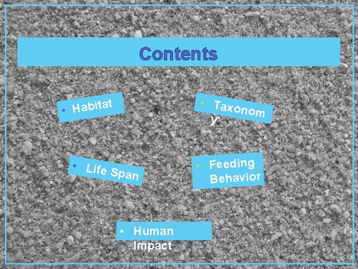Contents • Taxo nom y at t i b a H • • Life