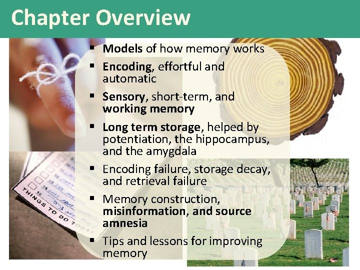 Chapter Overview § Models of how memory works § Encoding, effortful and automatic §