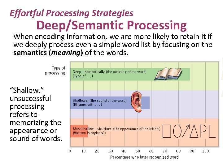 Effortful Processing Strategies Deep/Semantic Processing When encoding information, we are more likely to retain