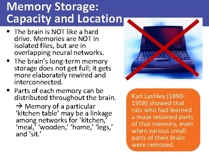 Memory Storage: Capacity and Location § The brain is NOT like a hard drive.