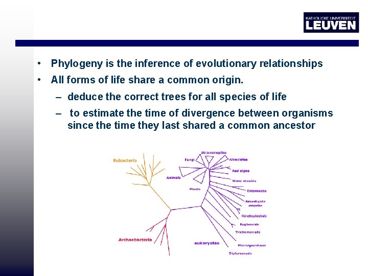  • Phylogeny is the inference of evolutionary relationships • All forms of life