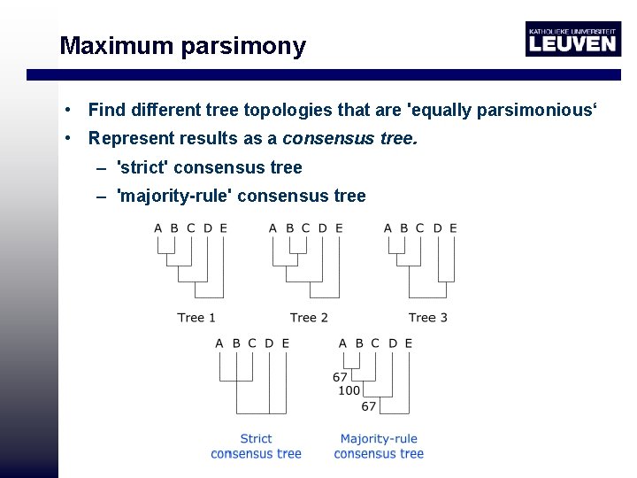 Maximum parsimony • Find different tree topologies that are 'equally parsimonious‘ • Represent results