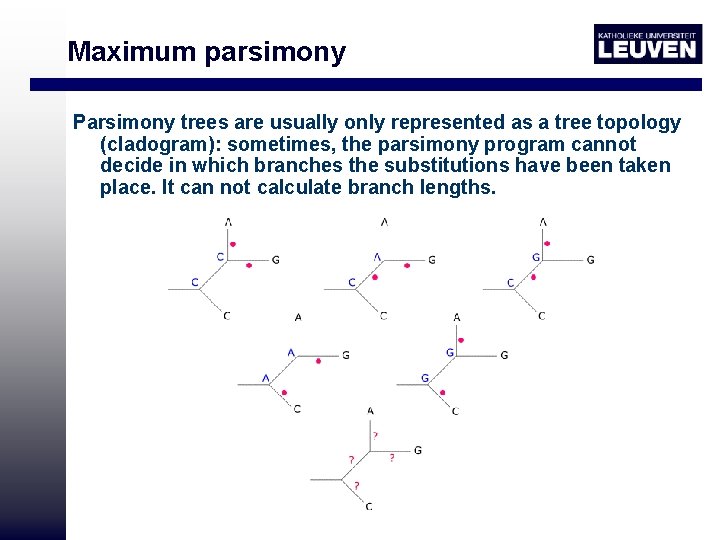Maximum parsimony Parsimony trees are usually only represented as a tree topology (cladogram): sometimes,