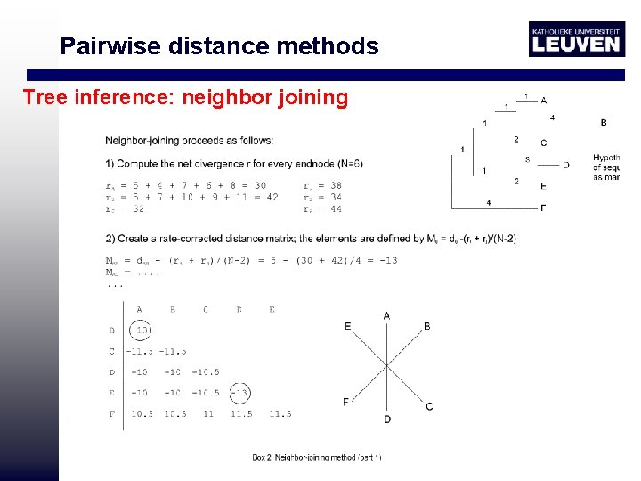 Pairwise distance methods Tree inference: neighbor joining 