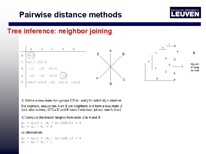 Pairwise distance methods Tree inference: neighbor joining 