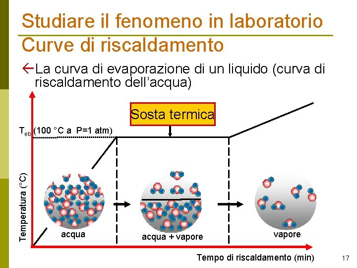 Studiare il fenomeno in laboratorio Curve di riscaldamento La curva di evaporazione di un