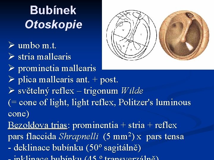 Bubínek Otoskopie Ø umbo m. t. Ø stria mallearis Ø prominetia mallearis Ø plica