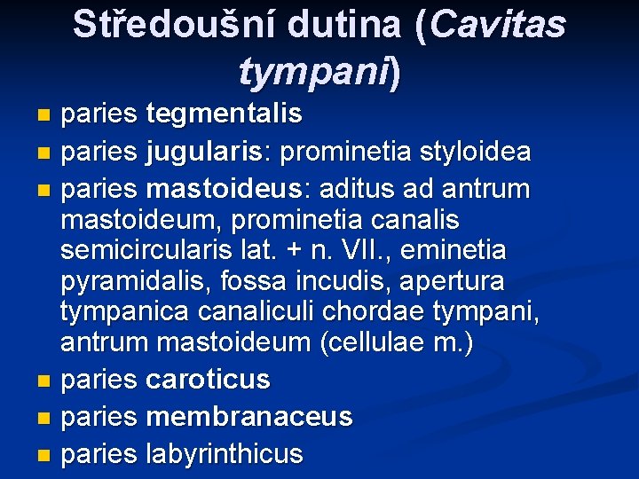 Středoušní dutina (Cavitas tympani) paries tegmentalis n paries jugularis: prominetia styloidea n paries mastoideus: