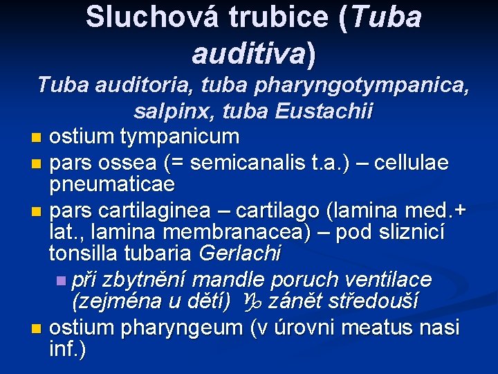 Sluchová trubice (Tuba auditiva) Tuba auditoria, tuba pharyngotympanica, salpinx, tuba Eustachii n ostium tympanicum