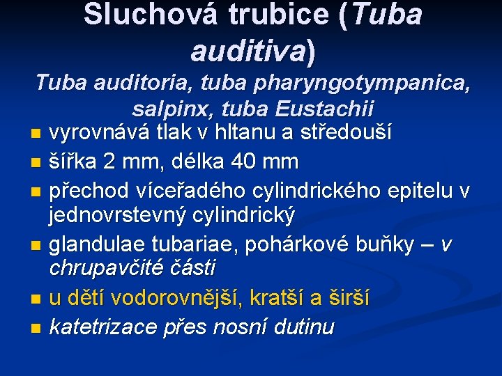 Sluchová trubice (Tuba auditiva) Tuba auditoria, tuba pharyngotympanica, salpinx, tuba Eustachii n vyrovnává tlak