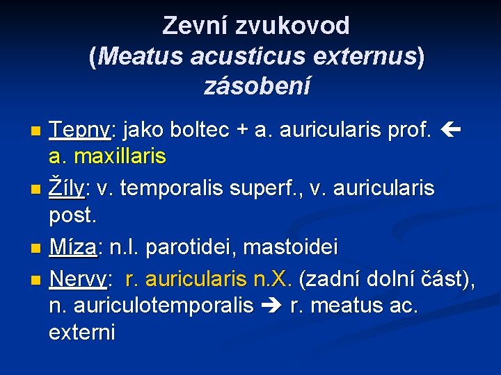 Zevní zvukovod (Meatus acusticus externus) zásobení Tepny: jako boltec + a. auricularis prof. a.