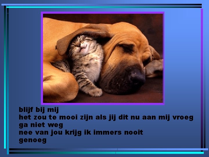blijf bij mij het zou te mooi zijn als jij dit nu aan mij