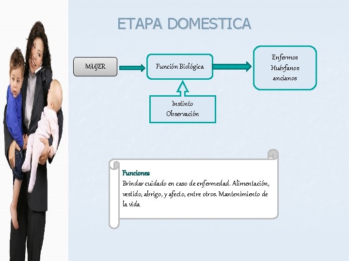 ETAPA DOMESTICA MUJER Función Biológica Instinto Observación Funciones Brindar cuidado en caso de enfermedad.