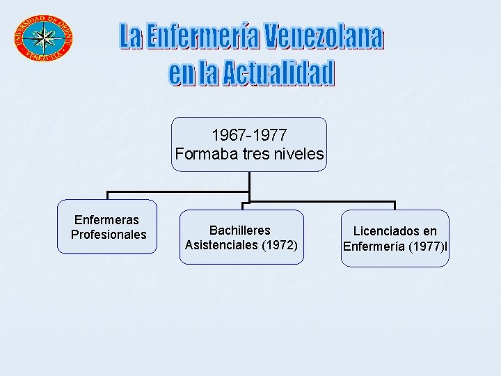 1967 -1977 Formaba tres niveles Enfermeras Profesionales Bachilleres Asistenciales (1972) Licenciados en Enfermería (1977)l