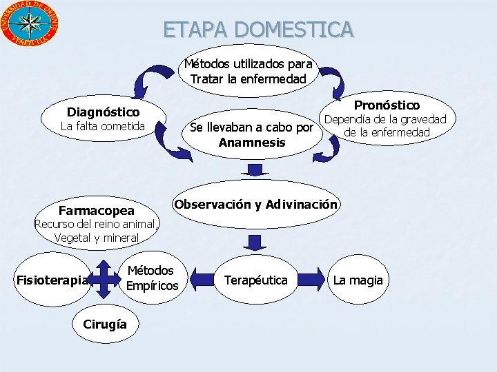 ETAPA DOMESTICA Métodos utilizados para Tratar la enfermedad Pronóstico Diagnóstico La falta cometida Farmacopea