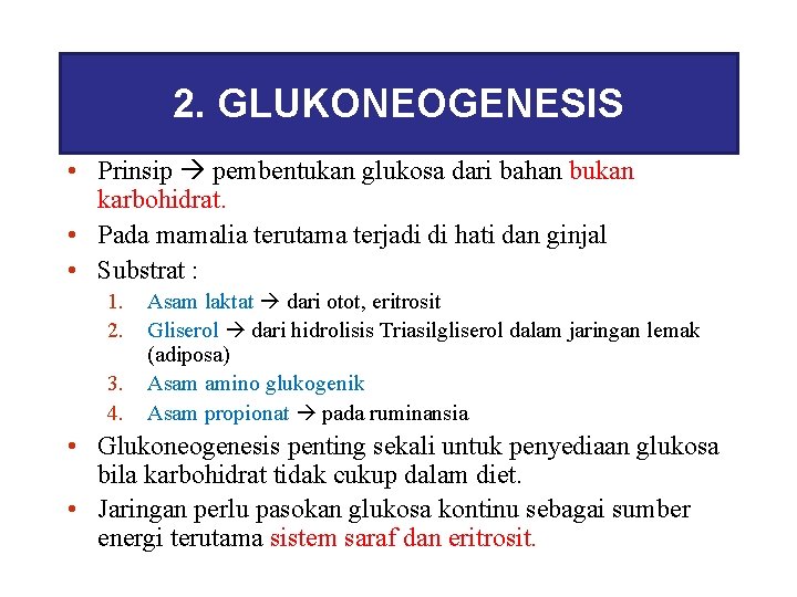 2. GLUKONEOGENESIS • Prinsip pembentukan glukosa dari bahan bukan karbohidrat. • Pada mamalia terutama