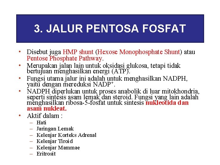 3. JALUR PENTOSA FOSFAT • Disebut juga HMP shunt (Hexose Monophosphate Shunt) atau Pentose