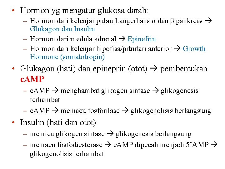  • Hormon yg mengatur glukosa darah: – Hormon dari kelenjar pulau Langerhans α