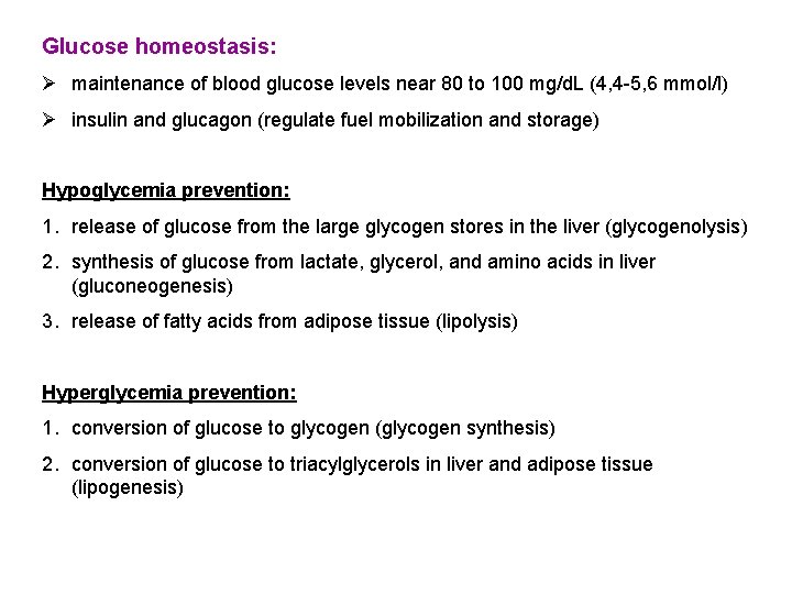 Glucose homeostasis: Ø maintenance of blood glucose levels near 80 to 100 mg/d. L
