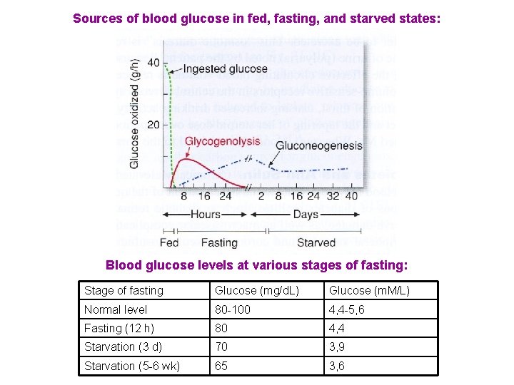 Sources of blood glucose in fed, fasting, and starved states: Blood glucose levels at