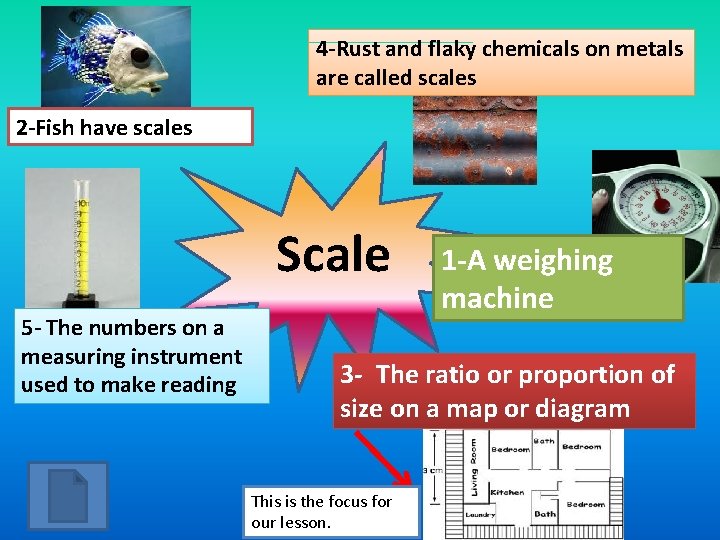 4 -Rust and flaky chemicals on metals are called scales 2 -Fish have scales