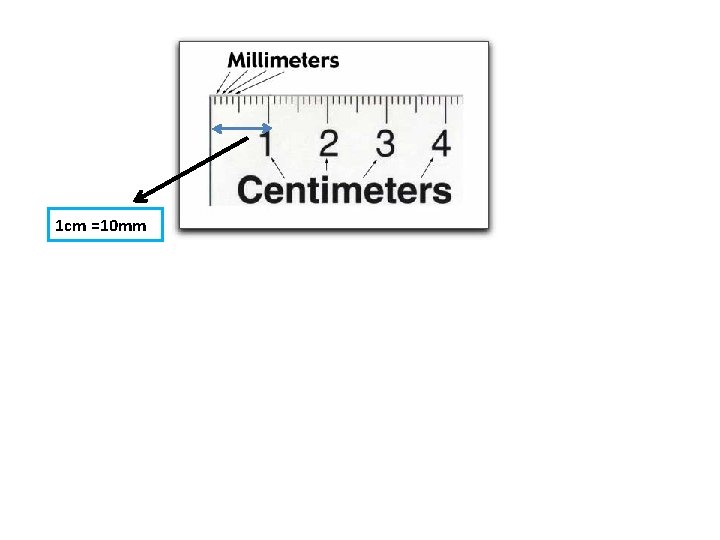 1 cm =10 mm 