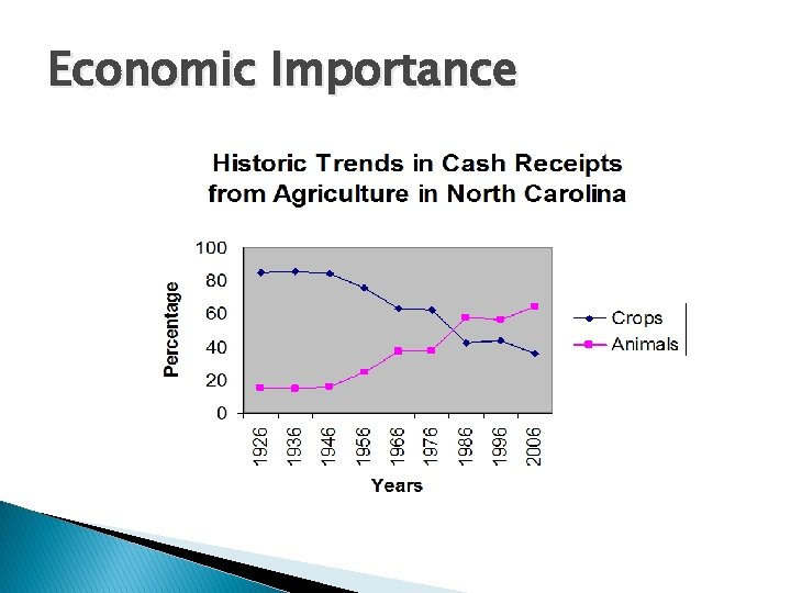 Economic Importance Economic Importance