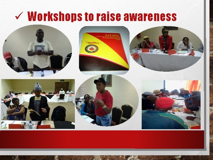 ü Workshops to raise awareness 