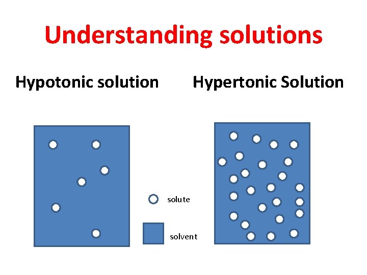Understanding solutions Hypotonic solution Hypertonic Solution solute solvent 