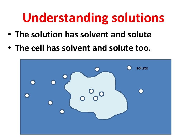 Understanding solutions • The solution has solvent and solute • The cell has solvent