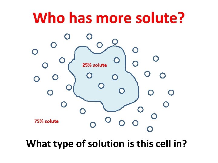 Who has more solute? 25% solute 75% solute What type of solution is this