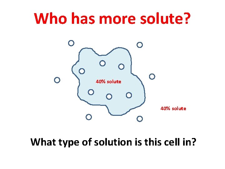 Who has more solute? 40% solute What type of solution is this cell in?