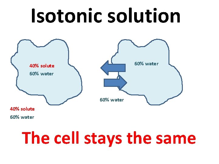 Isotonic solution 60% water 40% solute 60% water The cell stays the same 