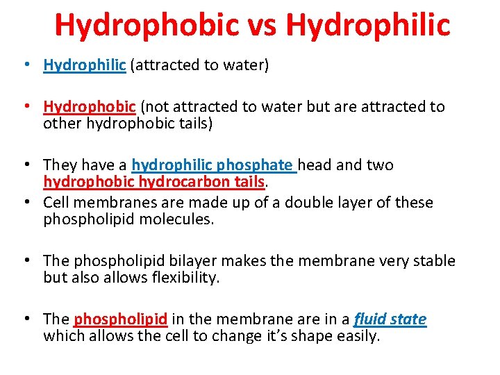 Hydrophobic vs Hydrophilic • Hydrophilic (attracted to water) • Hydrophobic (not attracted to water