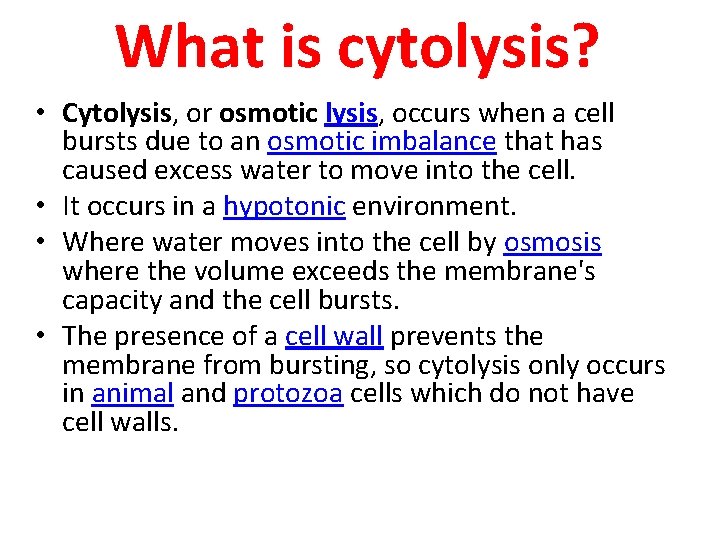 What is cytolysis? • Cytolysis, or osmotic lysis, occurs when a cell bursts due