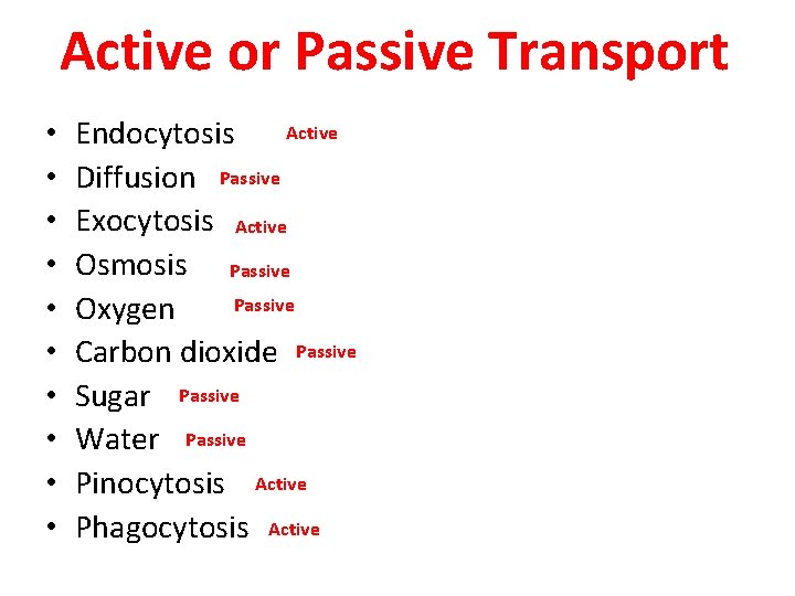 Active or Passive Transport • • • Active Endocytosis Diffusion Passive Exocytosis Active Osmosis