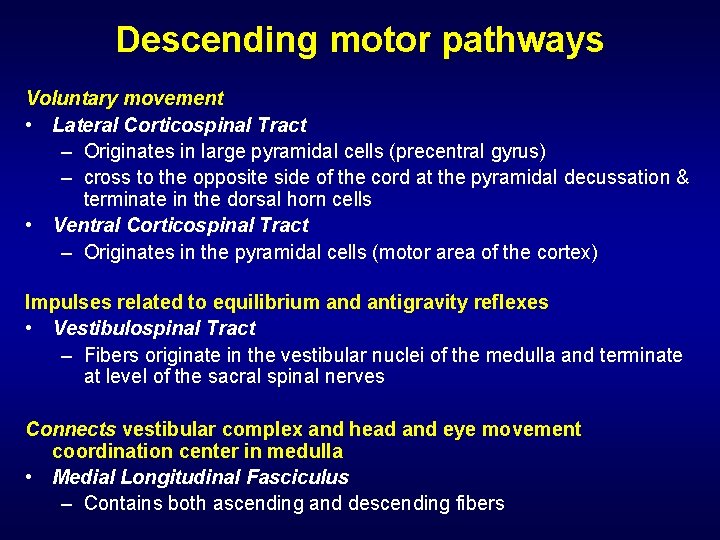 Descending motor pathways Voluntary movement • Lateral Corticospinal Tract – Originates in large pyramidal