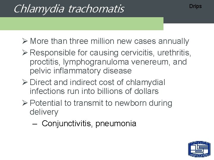 Chlamydia trachomatis Drips Ø More than three million new cases annually Ø Responsible for