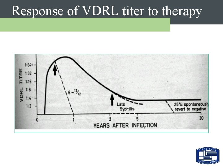 Response of VDRL titer to therapy 