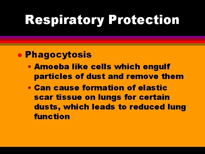 Respiratory Protection l Phagocytosis • Amoeba like cells which engulf particles of dust and