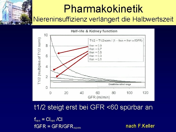 Pharmakokinetik Niereninsuffizienz verlängert die Halbwertszeit t 1/2 steigt erst bei GFR <60 spürbar an