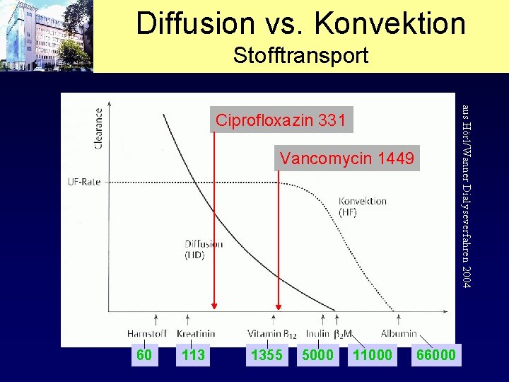 Diffusion vs. Konvektion Stofftransport aus Hörl/Wanner Dialyseverfahren 2004 Ciprofloxazin 331 Vancomycin 1449 60 113