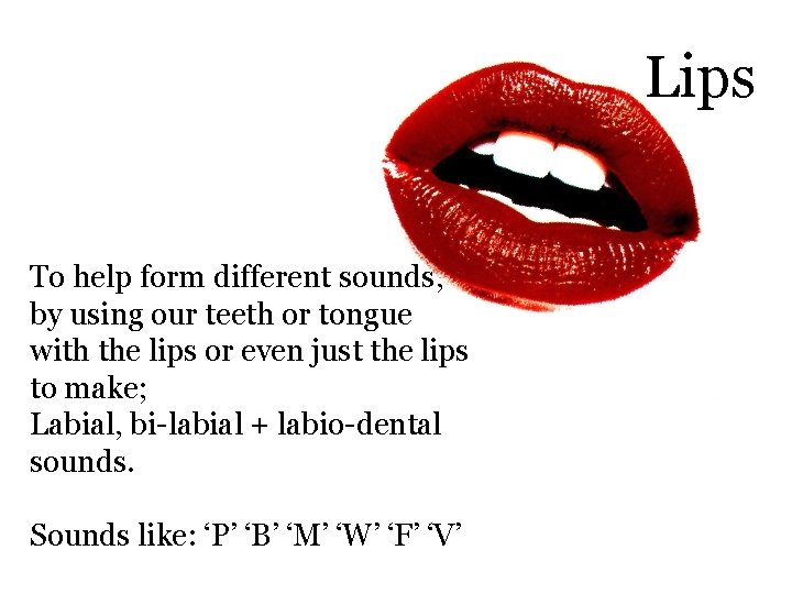 Lips To help form different sounds, by using our teeth or tongue with the