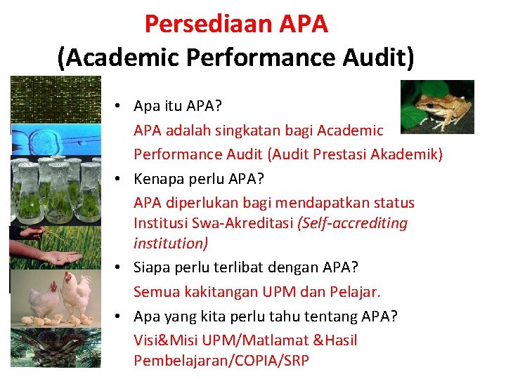 Persediaan APA (Academic Performance Audit) • Apa itu APA? APA adalah singkatan bagi Academic