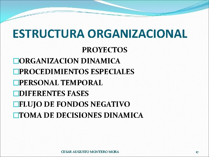 ESTRUCTURA ORGANIZACIONAL PROYECTOS �ORGANIZACION DINAMICA �PROCEDIMIENTOS ESPECIALES �PERSONAL TEMPORAL �DIFERENTES FASES �FLUJO DE FONDOS