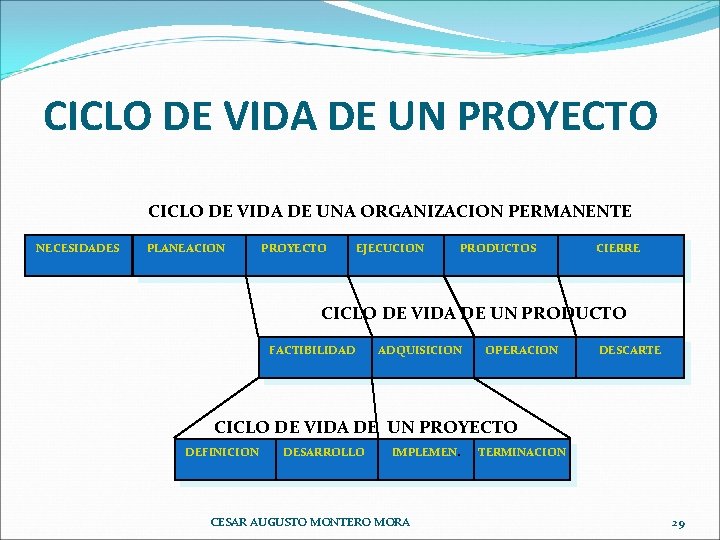 CICLO DE VIDA DE UN PROYECTO CICLO DE VIDA DE UNA ORGANIZACION PERMANENTE NECESIDADES