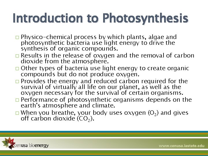 Introduction to Photosynthesis Physico-chemical process by which plants, algae and photosynthetic bacteria use light