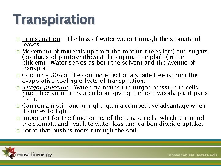 Transpiration � � � � Transpiration – The loss of water vapor through the