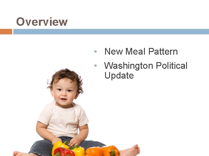 Overview • New Meal Pattern • Washington Political Update 